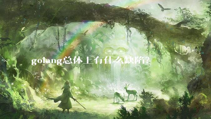 golang总体上有什么缺陷？