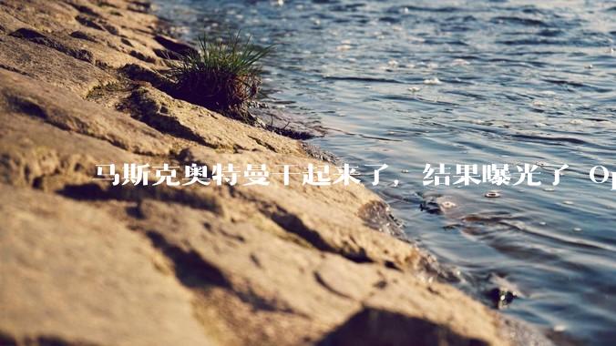 马斯克奥特曼干起来了，结果曝光了 OpenAI 最大的「宫斗」秘密_纳德拉_亿美元_ChatGPT