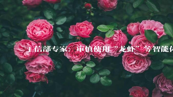 工信部专家：审慎使用“龙虾”等智能体_用户_技能_权限