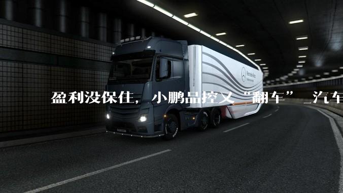 盈利没保住，小鹏品控又“翻车”_汽车_收入_服务