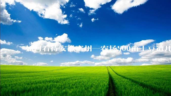 如何看待安徽宿州一农场500亩土豆遭几百名村民哄抢，曝光后民警要求种植户删帖？法不责众？如何有效维权？