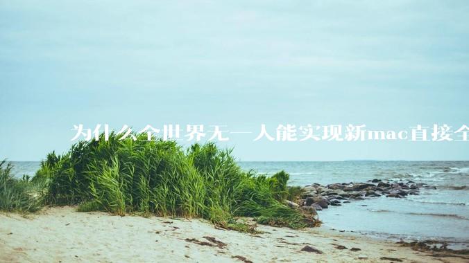为什么全世界无一人能实现新mac直接全功能稳定装Win 11 arm，或PC直接装macOS arm？