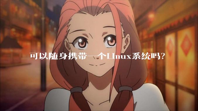 可以随身携带一个Linux系统吗？